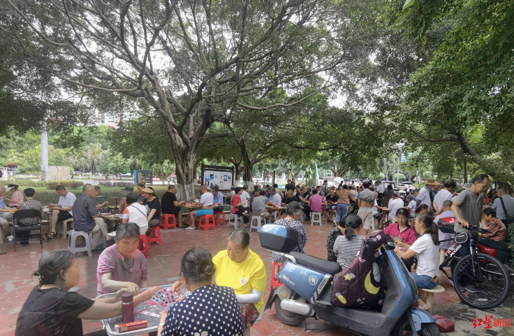 皇冠会员如何申请_天降大蛇吓坏树下打牌阿姨皇冠会员如何申请，“硬核”大爷徒手逮蛇抡摔 专家：不建议这样处理