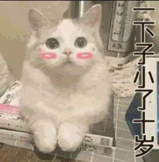 布拉加U23 vs维赛拉U23
_79岁老伯为见其相亲对象“翠花”布拉加U23 vs维赛拉U23
,将身份证改小10岁 被发现后不忘叮嘱民警“能不能不告诉她”