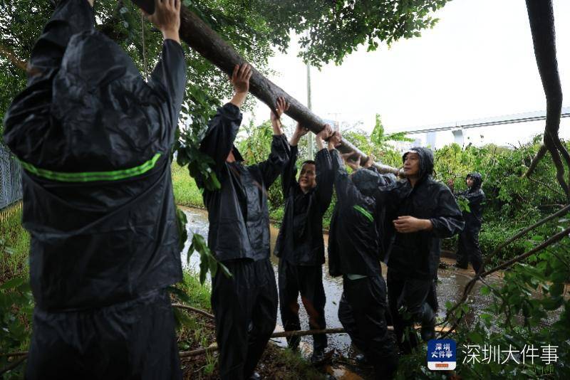 皇冠信用網哪里申请_从“山竹”开始皇冠信用網哪里申请，深圳这家企业每遇台风都组织员工排险清障