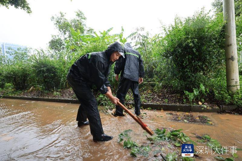 皇冠信用網哪里申请_从“山竹”开始皇冠信用網哪里申请，深圳这家企业每遇台风都组织员工排险清障