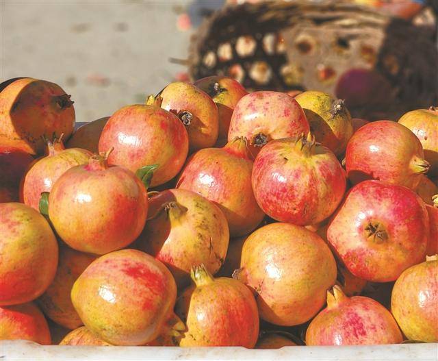 皇冠皇冠信用平台_红石榴点亮高原秋