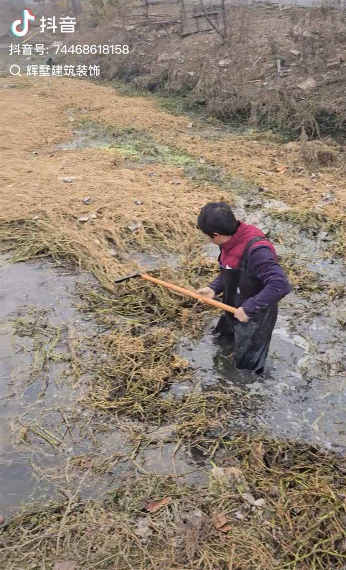 苏格兰超级联赛_大鹅主人抽水追凶最新进展来了：深刨半米淤泥啥也不见苏格兰超级联赛，或因厚草盖顶溺亡